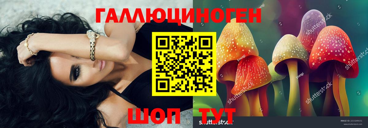Дедовск  Псилоцибиновые грибы GOLDEN TEACHER  Вход с VPN 